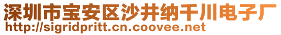 深圳市寶安區(qū)沙井納千川電子廠