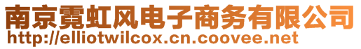 南京霓虹風(fēng)電子商務(wù)有限公司