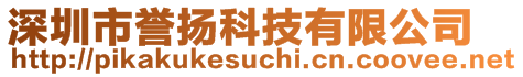 深圳市誉扬科技有限公司