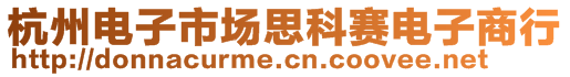 杭州電子市場思科賽電子商行