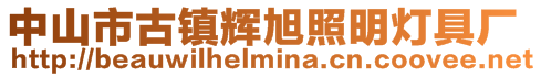 中山市古鎮(zhèn)輝旭照明燈具廠