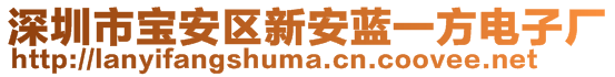 深圳市宝安区新安蓝一方电子厂