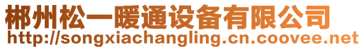 郴州松一暖通設備有限公司