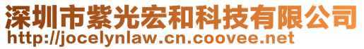 深圳市紫光宏和科技有限公司