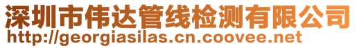 深圳市偉達管線檢測有限公司