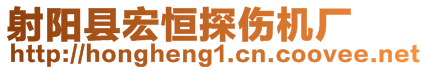 射阳县宏恒探伤机厂