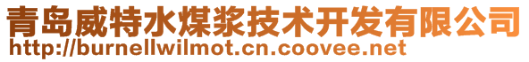 青岛威特水煤浆技术开发有限公司