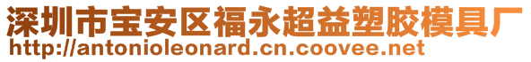 深圳市宝安区福永超益塑胶模具厂