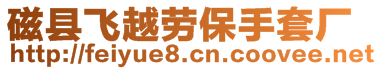 磁縣飛越勞保手套廠