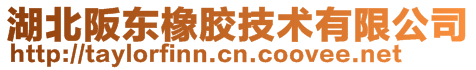 湖北阪東橡膠技術有限公司