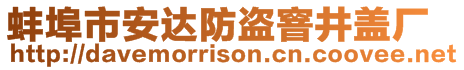 蚌埠市安达防盗窨井盖厂