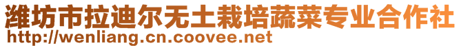 濰坊市拉迪爾無(wú)土栽培蔬菜專業(yè)合作社