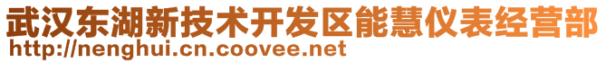 武漢東湖新技術(shù)開(kāi)發(fā)區(qū)能慧儀表經(jīng)營(yíng)部