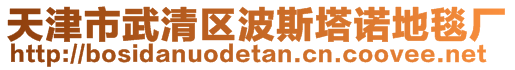 天津市武清区波斯塔诺地毯厂