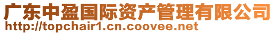 廣東中盈國際資產管理有限公司