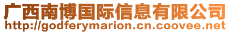 廣西南博國(guó)際信息有限公司