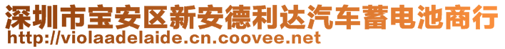 深圳市寶安區(qū)新安德利達汽車蓄電池商行
