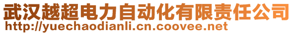 武漢越超電力自動化有限責(zé)任公司