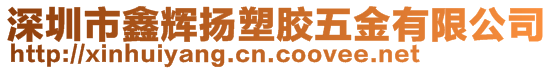 深圳市鑫輝揚(yáng)塑膠五金有限公司