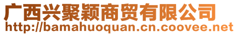 廣西興聚穎商貿(mào)有限公司