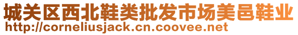 城關區(qū)西北鞋類批發(fā)市場美邑鞋業(yè)