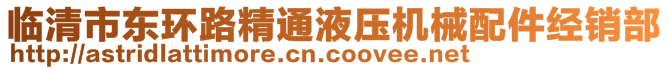 臨清市東環(huán)路精通液壓機械配件經(jīng)銷部