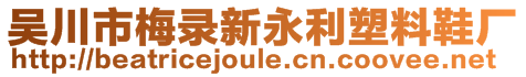 吳川市梅錄新永利塑料鞋廠