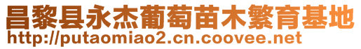 昌黎縣永杰葡萄苗木繁育基地