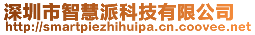 深圳市智慧派科技有限公司