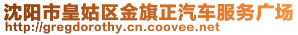 沈陽市皇姑區(qū)金旗正汽車服務(wù)廣場