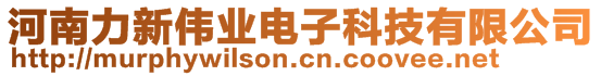 河南力新偉業(yè)電子科技有限公司