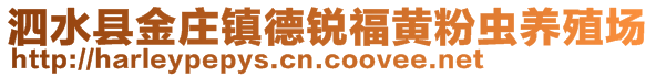 泗水縣金莊鎮(zhèn)德銳福黃粉蟲養(yǎng)殖場