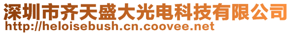 深圳市齊天盛大光電科技有限公司