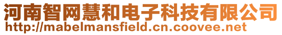 河南智網慧和電子科技有限公司