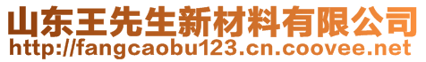 山东王先生新材料有限公司