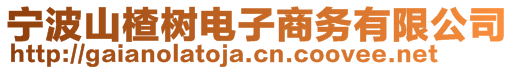 寧波山楂樹電子商務(wù)有限公司