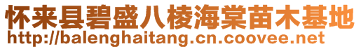 懷來縣碧盛八棱海棠苗木基地