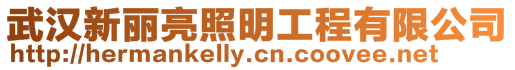 武漢新麗亮照明工程有限公司
