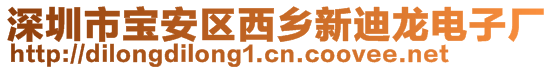 深圳市宝安区西乡新迪龙电子厂