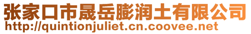 張家口市晟岳膨潤土有限公司