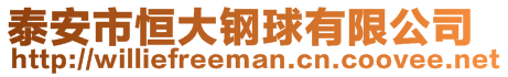 泰安市恒大鋼球有限公司