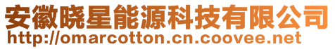 安徽曉星能源科技有限公司