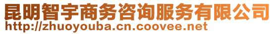 昆明智宇商務(wù)咨詢服務(wù)有限公司