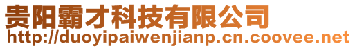 貴陽霸才科技有限公司