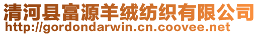 清河縣富源羊絨紡織有限公司