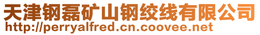 天津鋼磊礦山鋼絞線有限公司