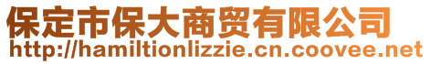 保定市保大商贸有限公司