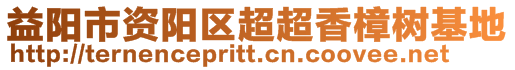 益陽市資陽區(qū)超超香樟樹基地