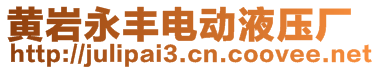 黃巖永豐電動(dòng)液壓廠