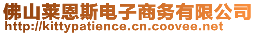 佛山萊恩斯電子商務(wù)有限公司